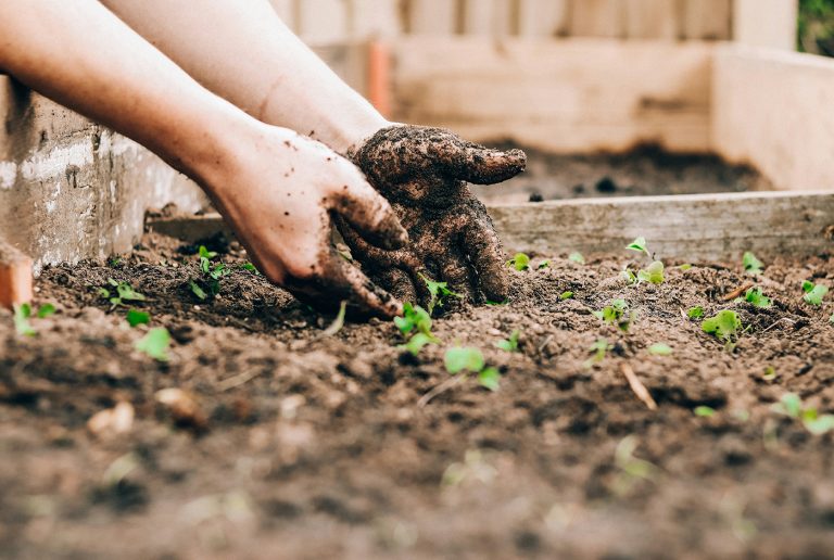 Garden, using the abstract emotion or young child, provides peace, safety