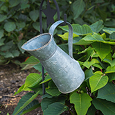 watering can