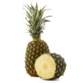 Dried pineapple slices nutritious & delicious