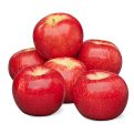 Fresh apple red delicious washington