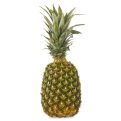 Dried pineapple slices nutritious & delicious - Image 2