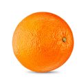 Valencia seedless hybrid orange plant - Image 3