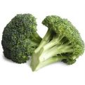 Broccoli On Gardening Plant Seeds