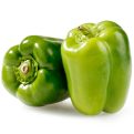 Kirat organic green capsicum seed - Image 2