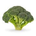 Broccoli On Gardening Plant Seeds - Image 2